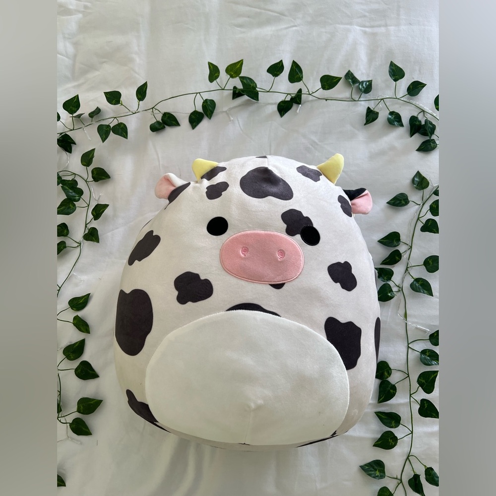 Collin squishmallow 16”